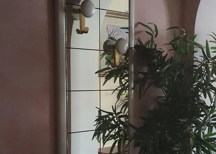 Palmagrill Malcontenta